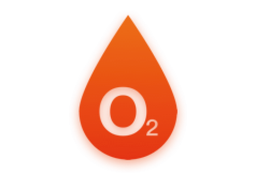 Blood Oxygen Saturation (SpO2)